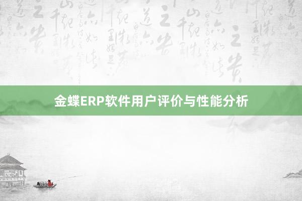 金蝶ERP软件用户评价与性能分析